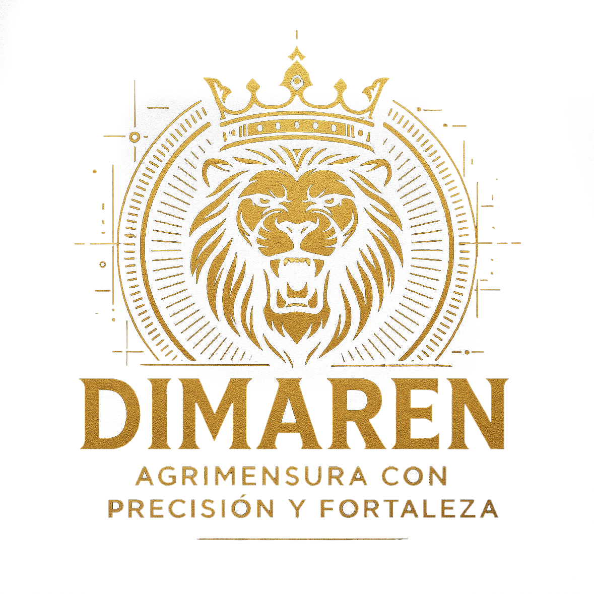 Dimaren Agrimensura y Agrimensor