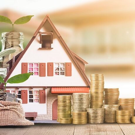 mejor agrimensor de puerto plata